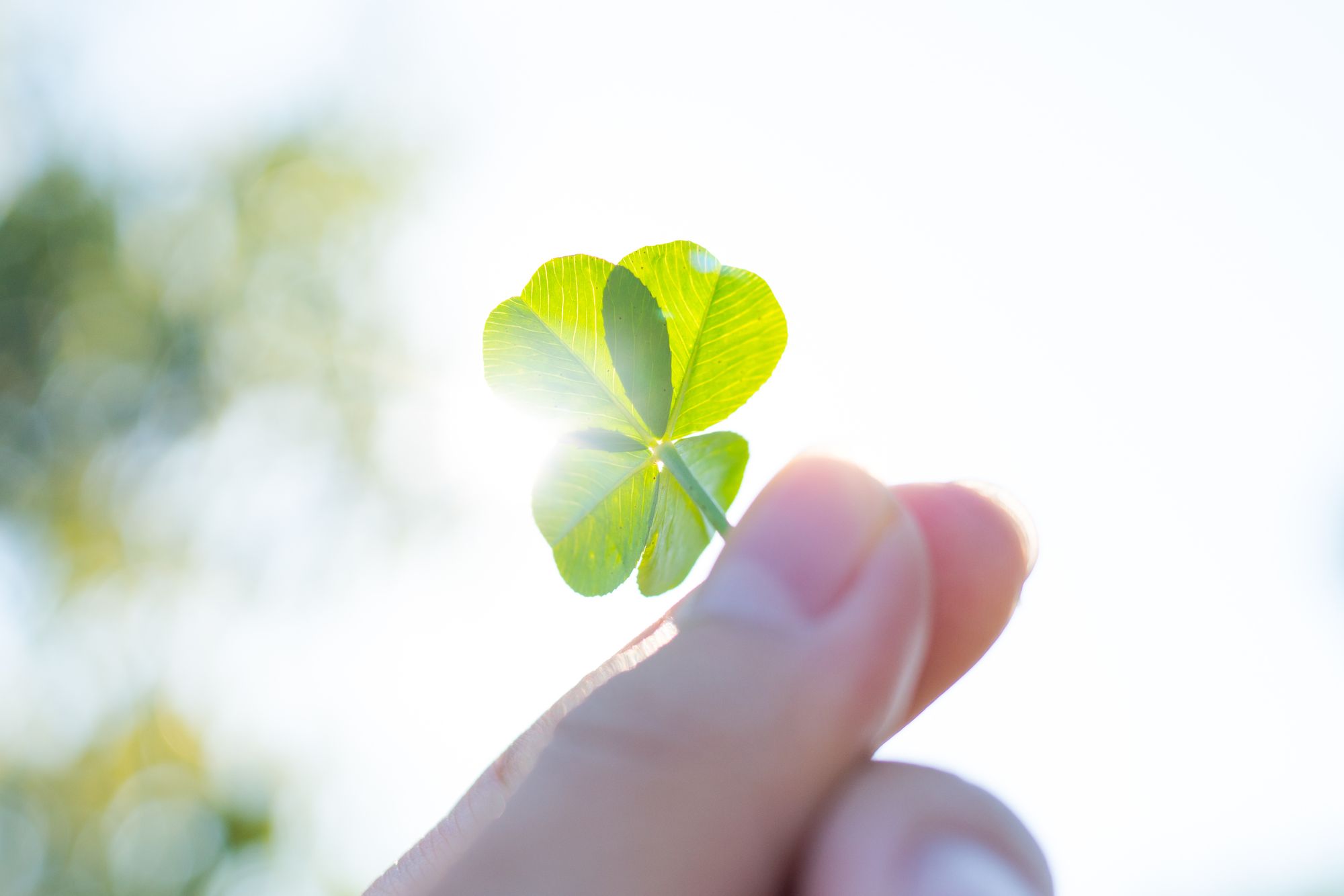 The luck of the Irish to make healthcare better